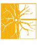 Istituto Neurologico Carlo Best Milano