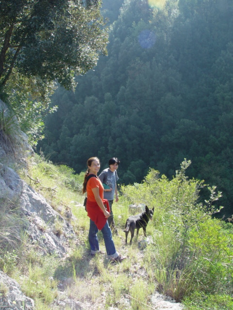 Trekking